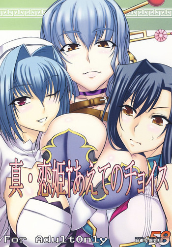 真・恋姫†あえてのチョイスの表紙画像