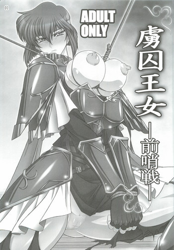 虜囚王女－前哨戦－の表紙画像