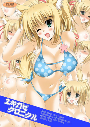 ユキカゼクロニクルの表紙画像