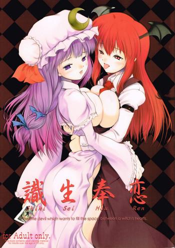 識生奉恋の表紙画像