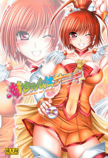 姉ちゃんはサニキの表紙画像
