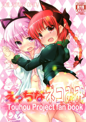 えっちなネコみみの表紙画像