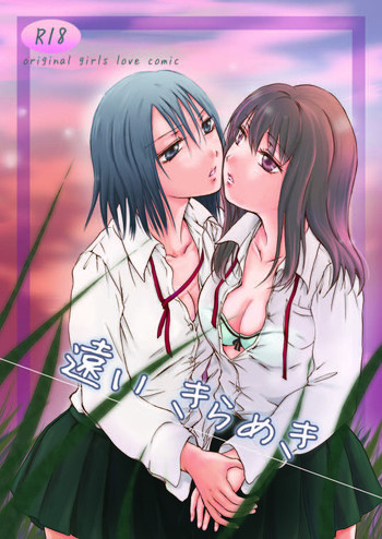遠いきらめきの表紙画像