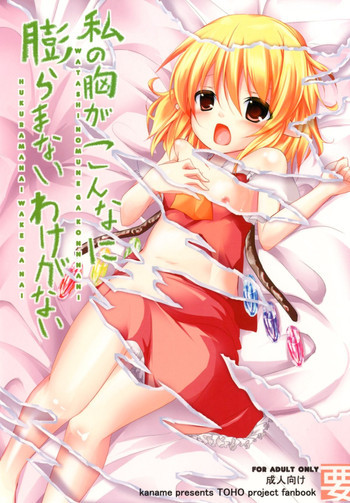私の胸がこんなに膨らまないわけがないの表紙画像