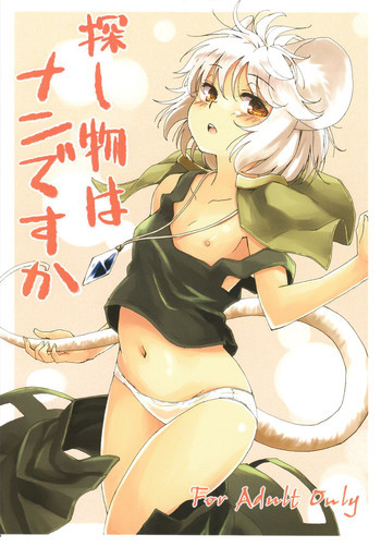 探し物はナンですかの表紙画像