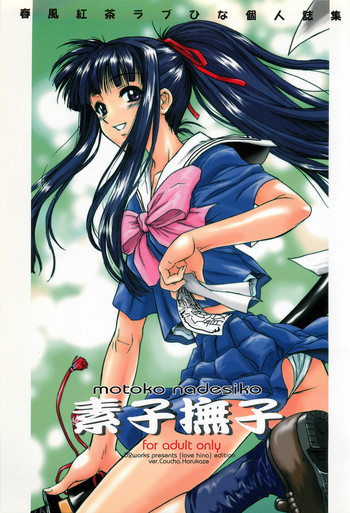 素子撫子の表紙画像