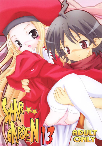 StarGarden13の表紙画像