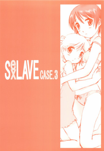 SexLAVE CASE.3の表紙画像