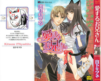 愛するお兄さんの表紙画像