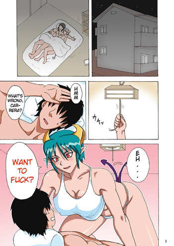 カ○ラさんの家の家庭の情事の表紙画像