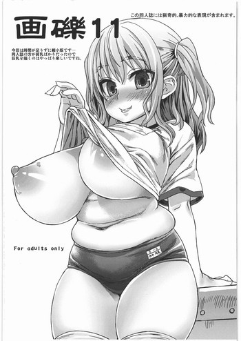 画礫11の表紙画像