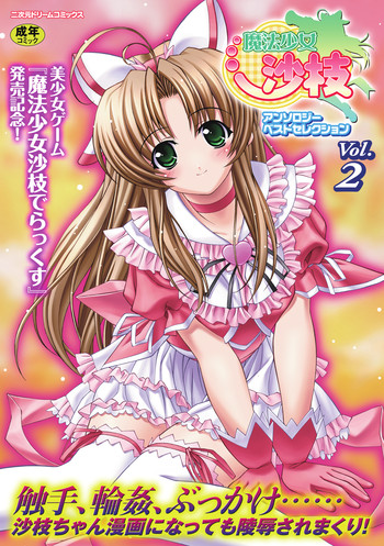 魔法少女沙枝アンソロジーベストセレクション Vol.2の表紙画像