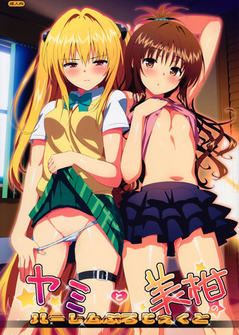 ヤミと美柑のハーレムぷろじぇくとの表紙画像