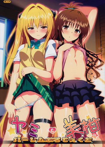 ヤミと美柑のハーレムぷろじぇくとの表紙画像