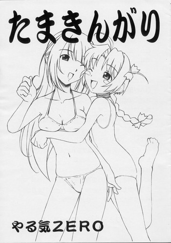 たまきんがりの表紙画像