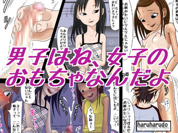 男子はね、女子のおもちゃなんだよの表紙画像