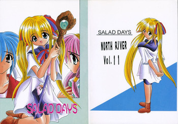 SALAD DAYSの表紙画像