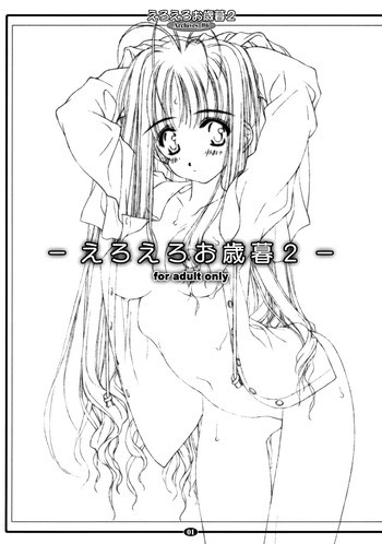 えろえろお歳暮 2の表紙画像