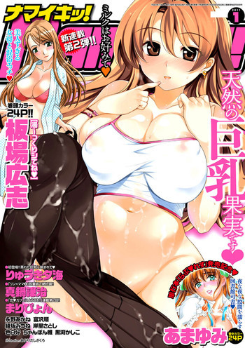 ナマイキッ！ 2011年1月号 [DL版]の表紙画像