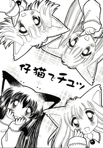 仔猫でチュッの表紙画像