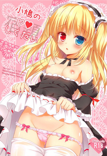 小鳩のしくだいの表紙画像