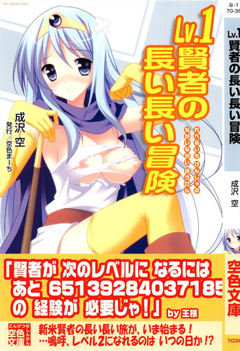 Lv.1賢者の長い長い冒険の表紙画像