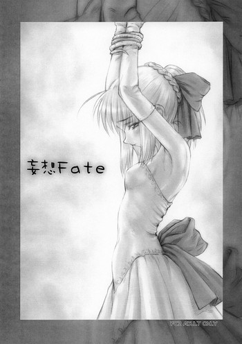 妄想Fateの表紙画像