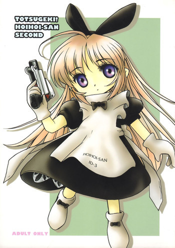 TOTSUGEKI! HOIHOI-SAN SECONDの表紙画像