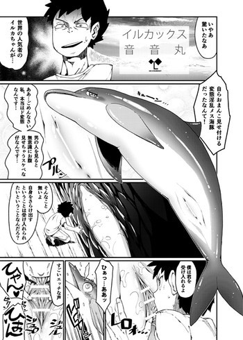 イルカックスの表紙画像