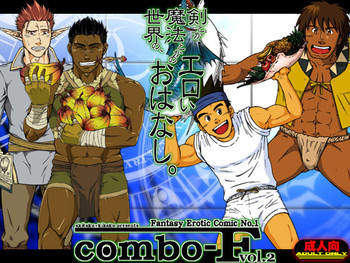 combo-F vol.2の表紙画像