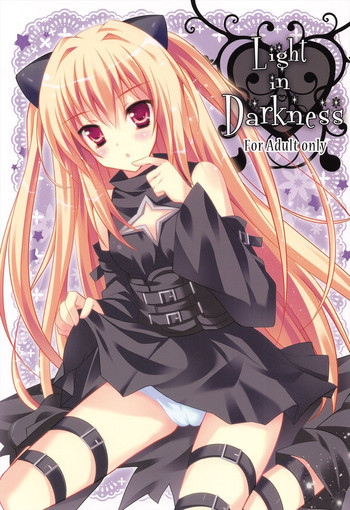 Light in Darknessの表紙画像