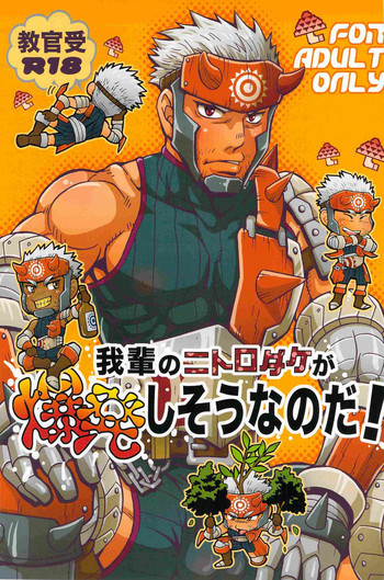 我輩のニトロダケが爆発しそうなのだ!の表紙画像