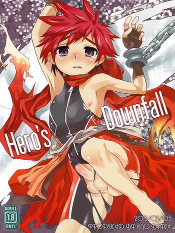 Hero's Downfallの表紙画像
