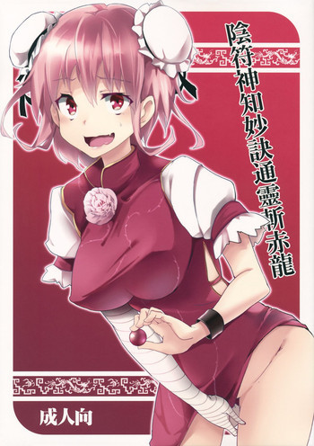 陰符神知妙訣通靈斬赤龍の表紙画像