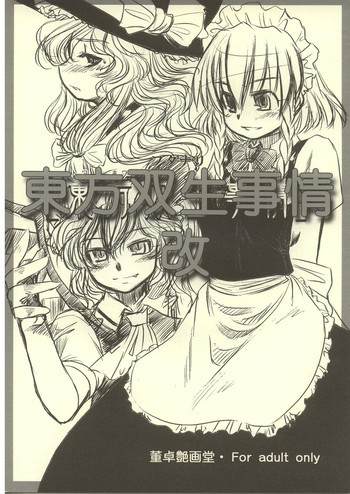 東方双生事情改の表紙画像