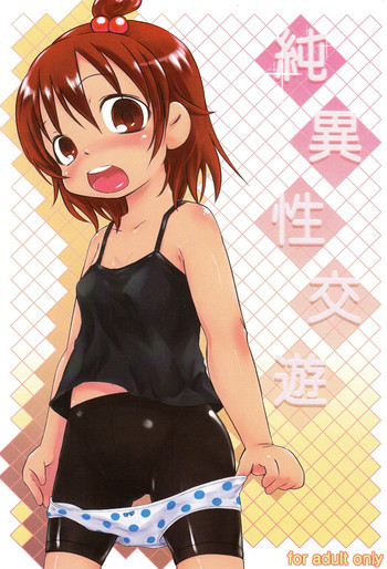 純異性交友の表紙画像