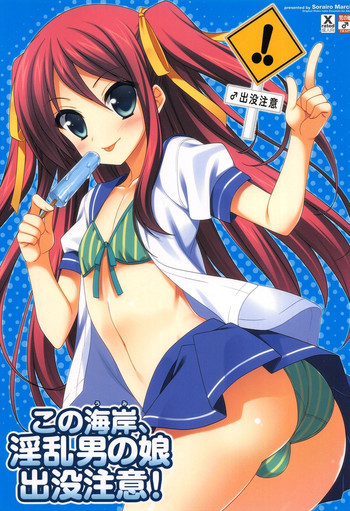 この海岸、淫乱男の娘出没注意!の表紙画像
