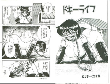 ドキーライフの表紙画像