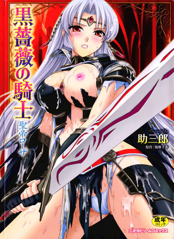 黒薔薇の騎士～聖帝ローザ～の表紙画像