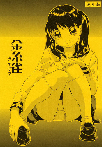 の表紙画像