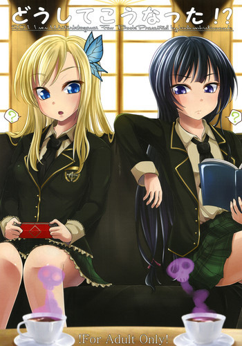 どうしてこうなった！？の表紙画像