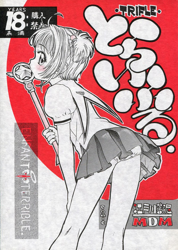 とらいふるの表紙画像