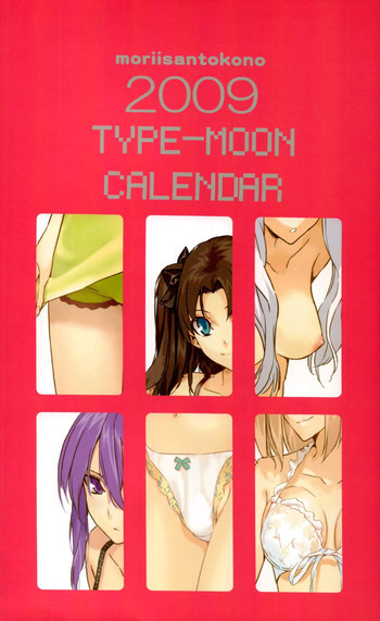 森井さんとこの2009TYPE-MOONCALENDARの表紙画像