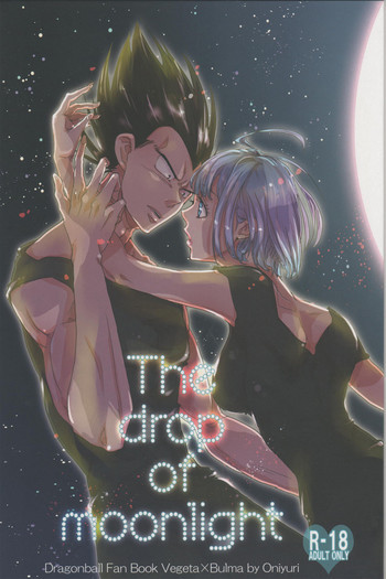 The drop of moonlightの表紙画像