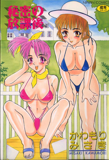 秘密の放課後の表紙画像