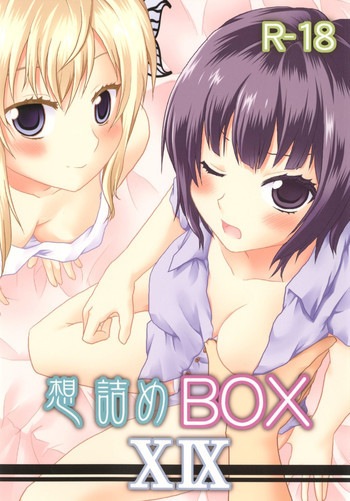 想詰めBOX XIXの表紙画像