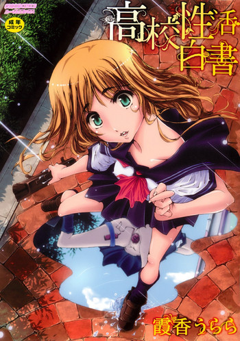 高校性活白書の表紙画像