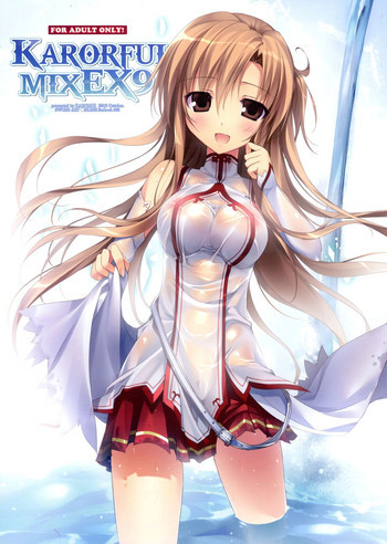 KARORFUL MIX EX9の表紙画像