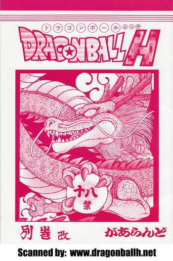 DRAGONBALL H 別巻改の表紙画像