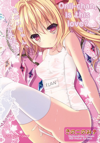 お兄ちゃん、これ好き？の表紙画像